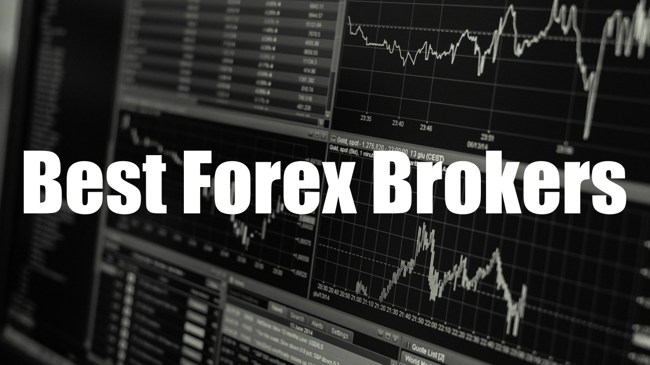 Best Forex Brokers 2025